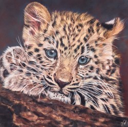 Toddler by Valerie Simms - Original Drawing on Mounted Paper sized 16x16 inches. Available from Whitewall Galleries