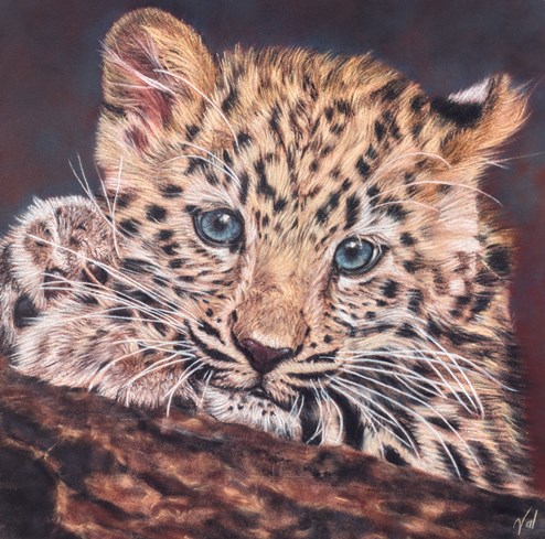 Toddler by Valerie Simms - Original Drawing on Mounted Paper